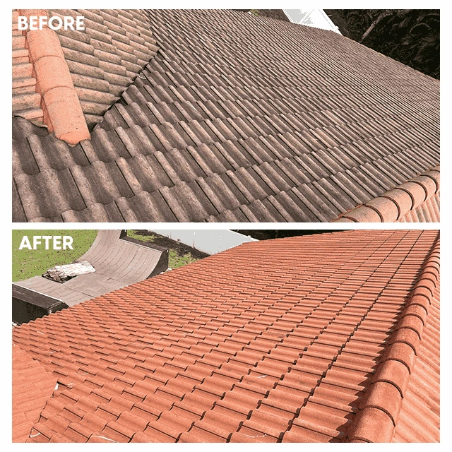 Roof Cleaning West Palm Beach