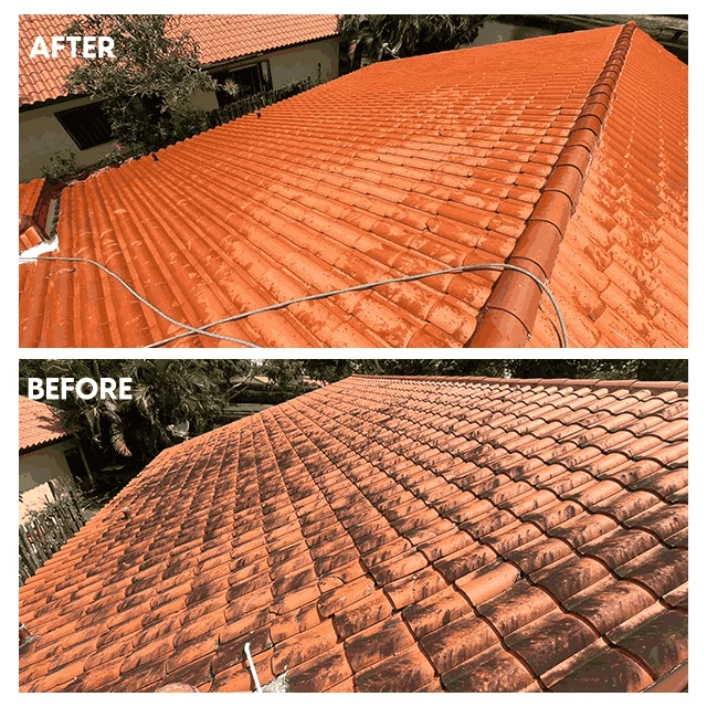 Roof-Before-After