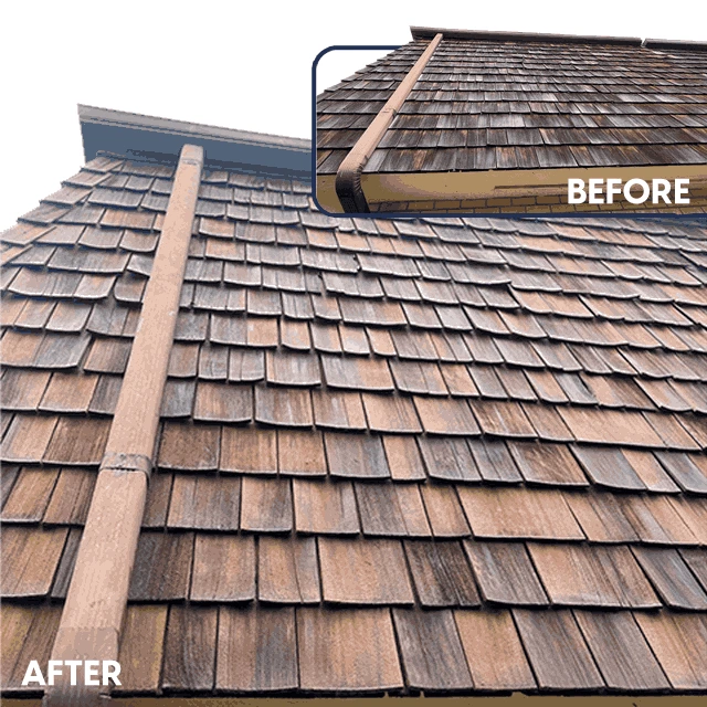 roof cleaning lake worth