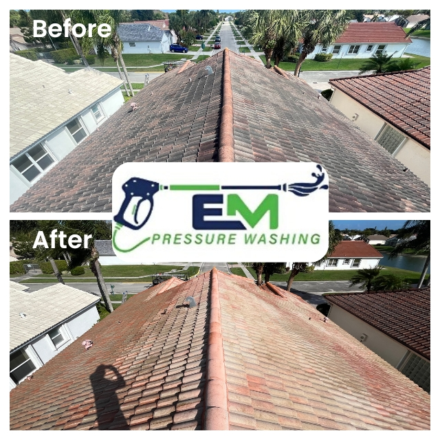 Roof Cleaning Juno Ridge