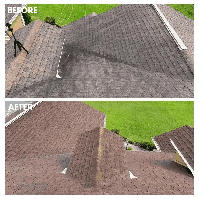 roof cleaning in wellington fl
